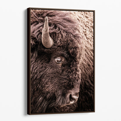 Bison Closeup Vertical Canvas Wall Art Canvas-Walnut Frame / 12 x 18 Inches Wall Art Teri James Photography