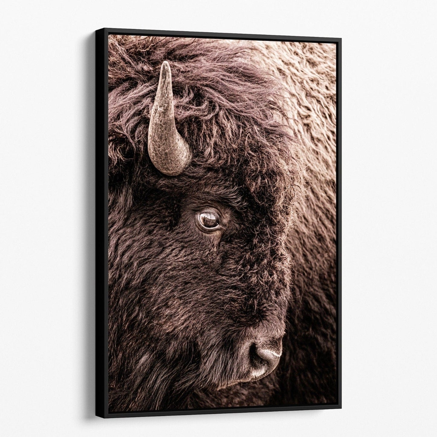 Bison Closeup Vertical Canvas Wall Art Canvas-Black Frame / 12 x 18 Inches Wall Art Teri James Photography
