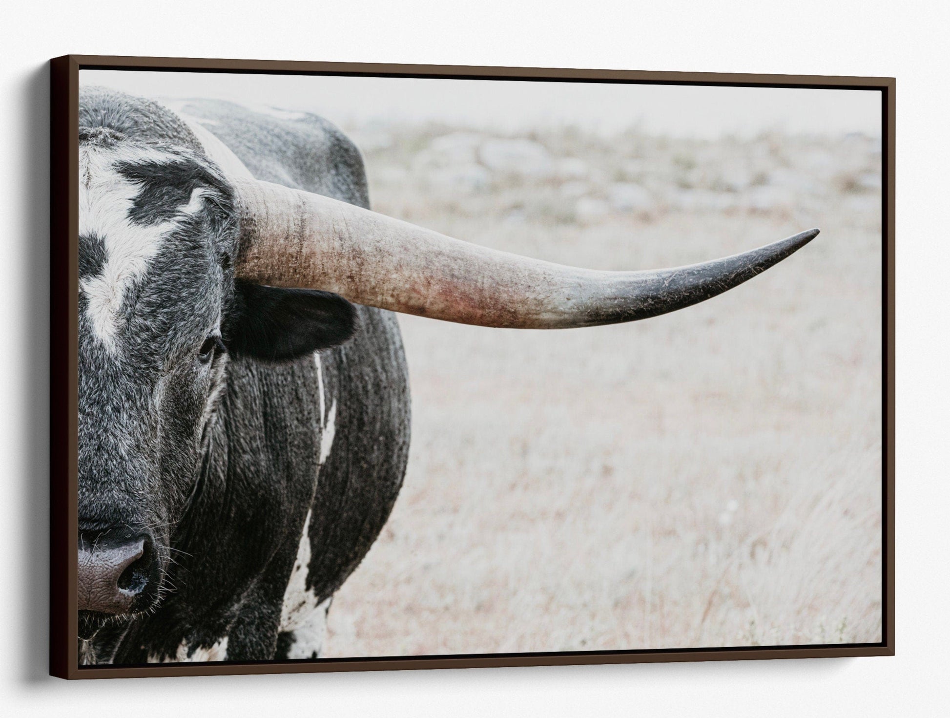 Teri James Photography Wall Art Canvas-Walnut Frame / 12 x 18 Inches Closeup of Texas Longhorn Bull