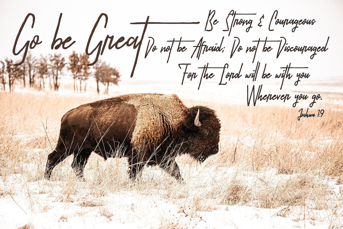 Gift for Newborn Nursery - Go Be Great Bison Nursery Wall Decor Paper Photo Print / 12 x 18 Inches Wall Art Teri James Photography