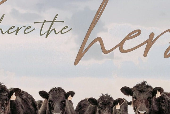 Teri James Photography Wall Art Home is Where the Herd Is - Black Angus Cattle Inspirational Canvas