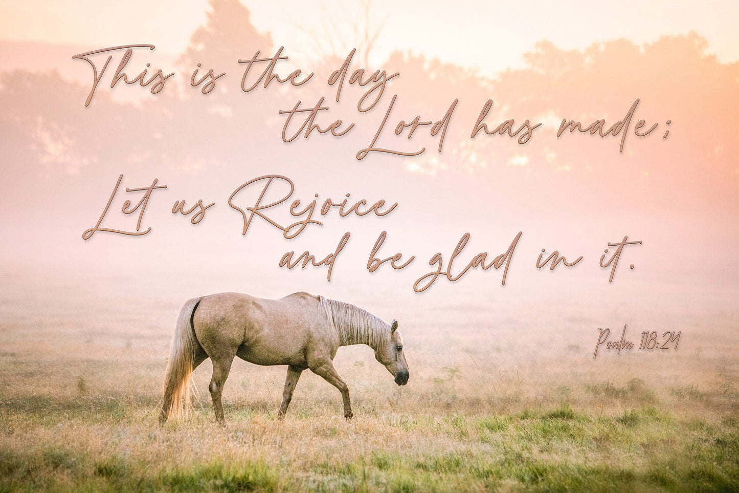 Teri James Photography Wall Art Paper Photo Print / 12 x 18 Inches Horse Art - This is the Day the Lord has Made