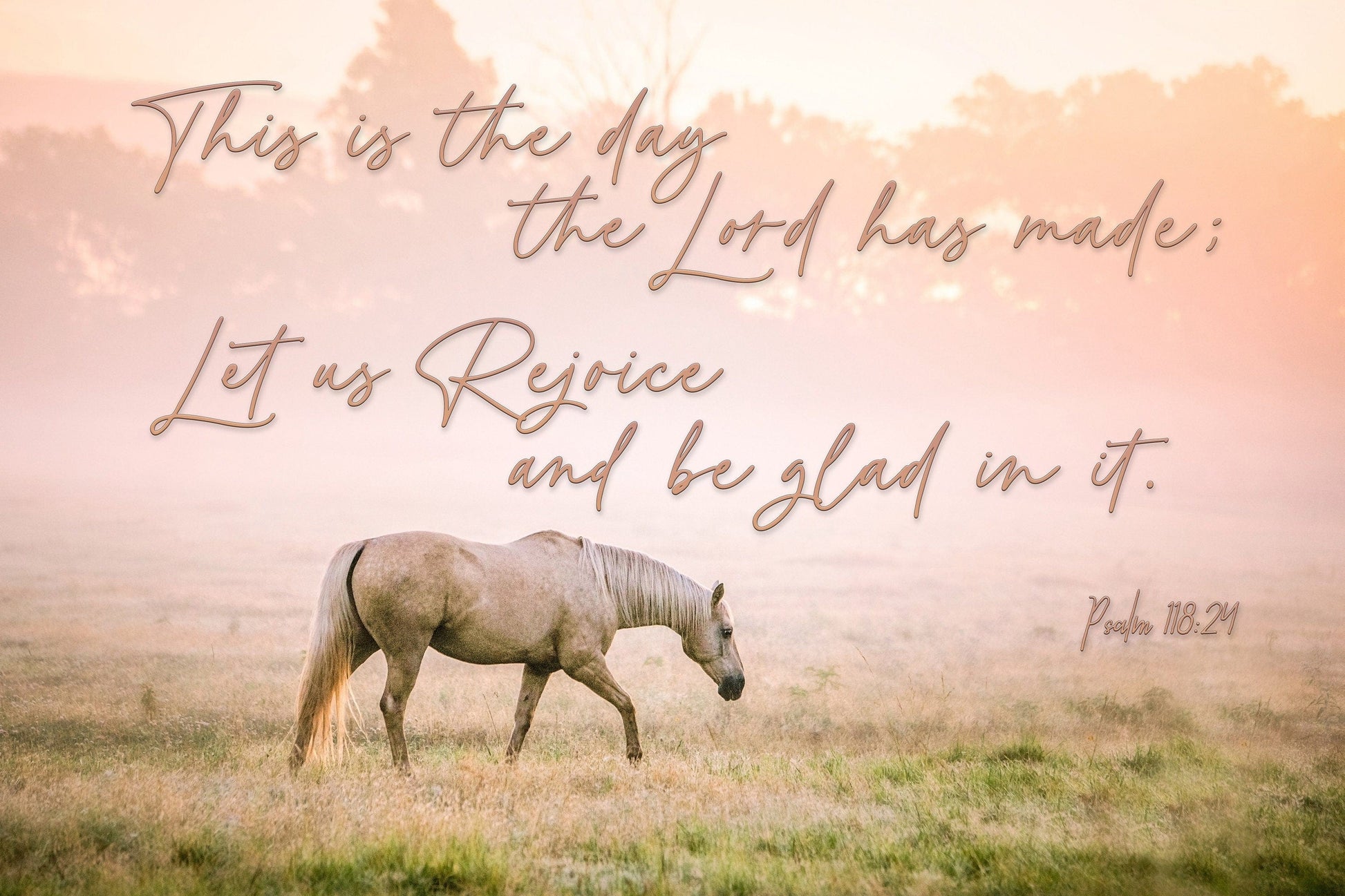 This is the Day the Lord has Made - Horse Wall Art Paper Photo Print / 12 x 18 Inches Wall Art Teri James Photography