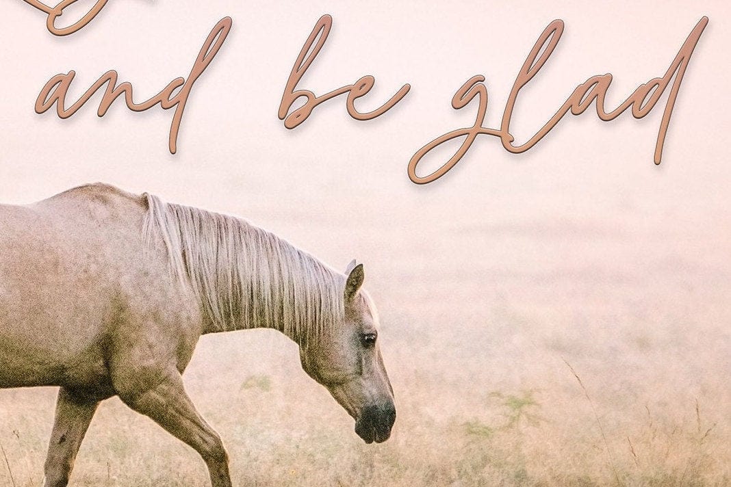 Teri James Photography Wall Art Horse Art - This is the Day the Lord has Made