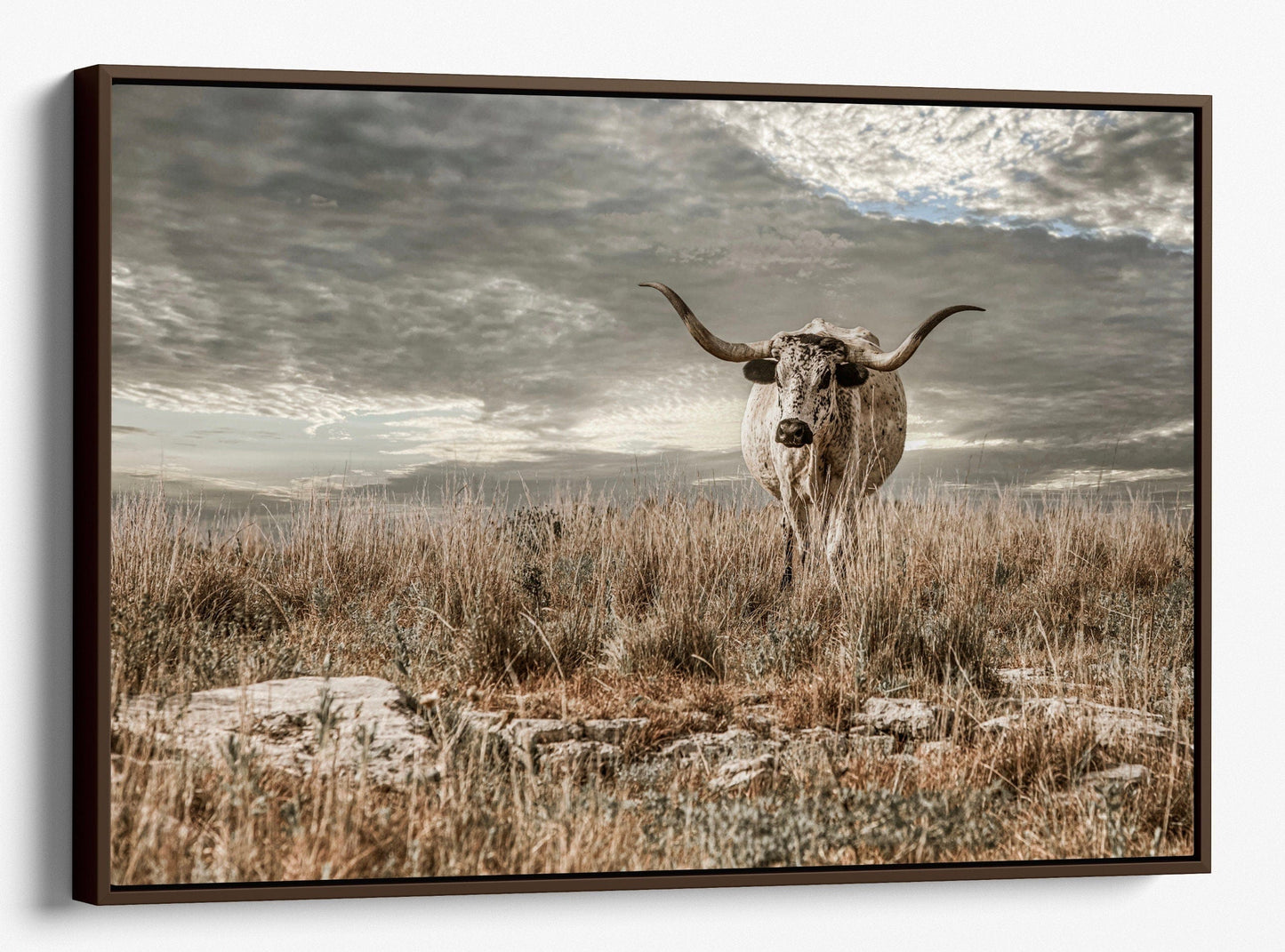 Kansas Flint Hills Wall Art - Texas Longhorn Cattle Canvas-Walnut Frame / 12 x 18 Inches Wall Art Teri James Photography