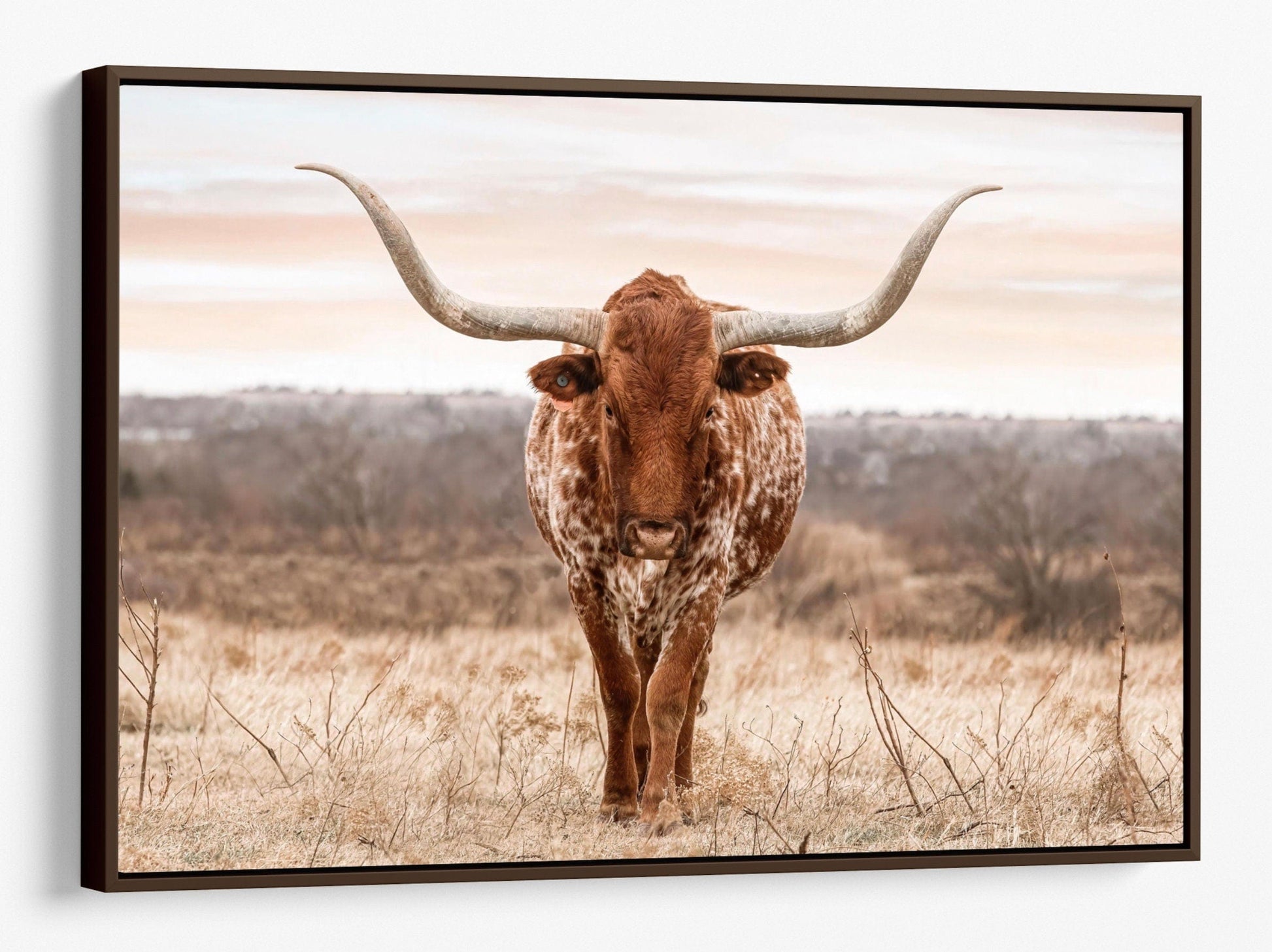 Teri James Photography Wall Art Canvas-Walnut Frame / 12 x 18 Inches Large Texas Longhorn Wall Art