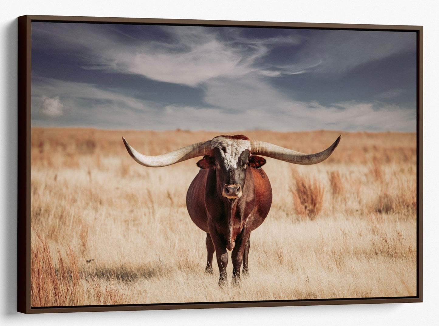 Teri James Photography Wall Art Canvas-Walnut Frame / 12 x 18 Inches Longhorn Bull and Blue Sky