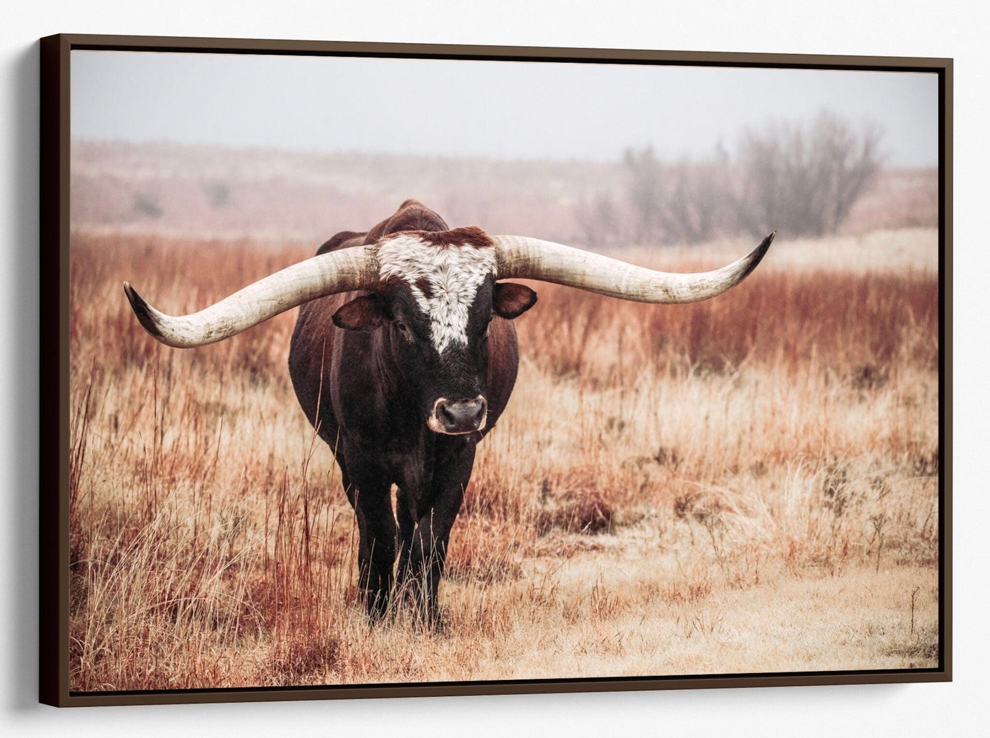 Teri James Photography Wall Art Canvas-Walnut Frame / 12 x 18 Inches Longhorn Bull Art Canvas Print