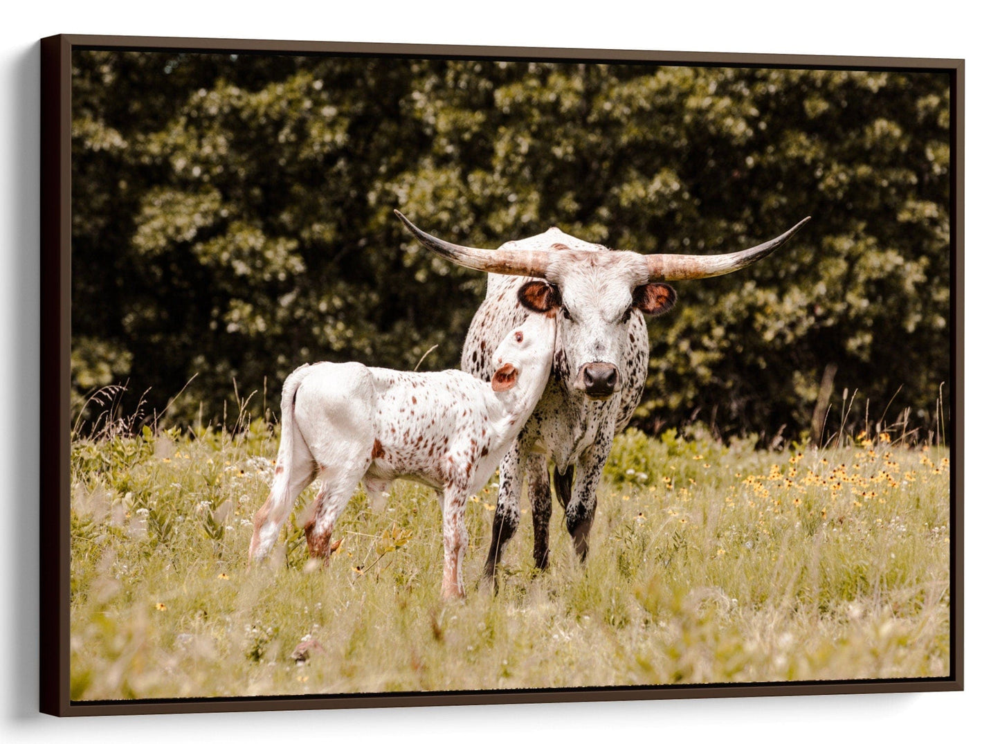 Teri James Photography Wall Art Canvas-Walnut Frame / 12 x 18 Inches Longhorn Cow and Calf Art for Western Nursery