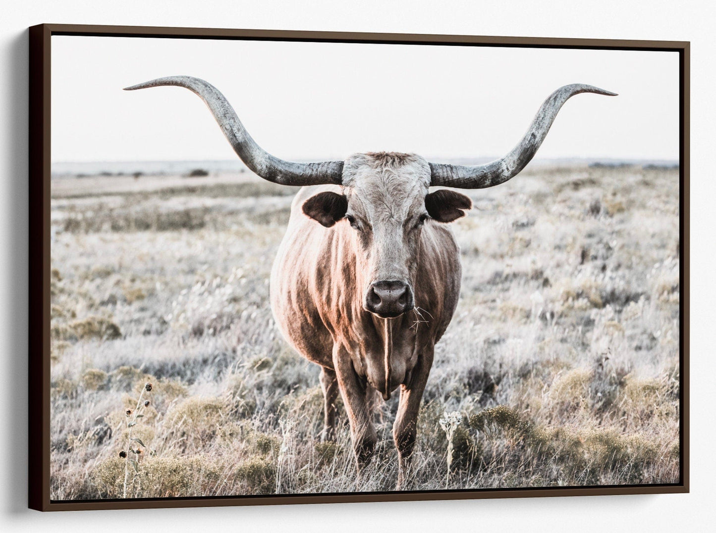Modern Farmhouse Longhorn Art Canvas-Walnut Frame / 12 x 18 Inches Wall Art Teri James Photography