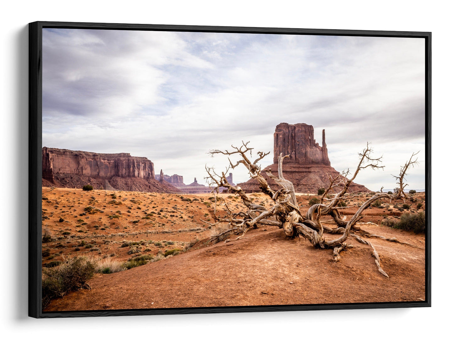 Teri James Photography Wall Art Canvas-Black Frame / 12 x 18 Inches Monument Valley Canvas Wall Art