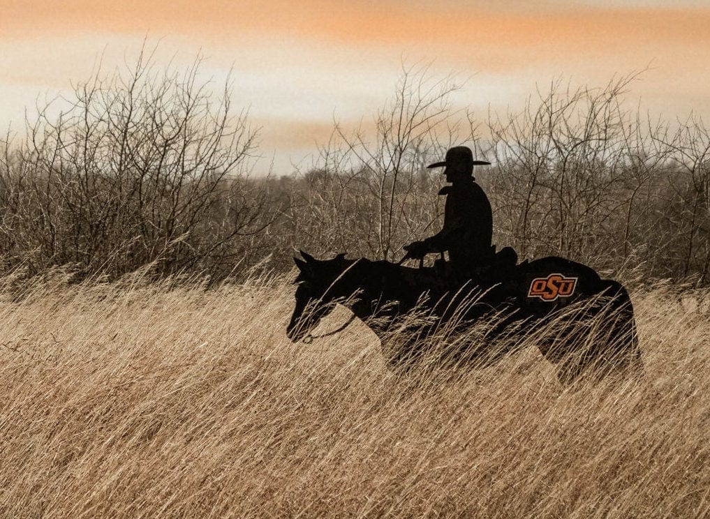 Teri James Photography Wall Art Oklahoma State University - Cowboy, Horse and Longhorn