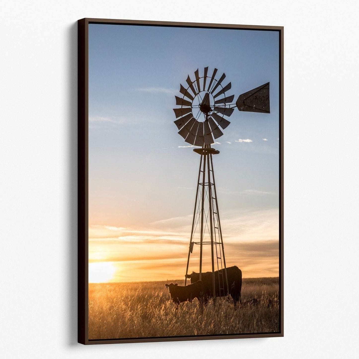 Old Windmill and Black Angus Cattle Canvas-Walnut Frame / 12 x 18 Inches Wall Art Teri James Photography