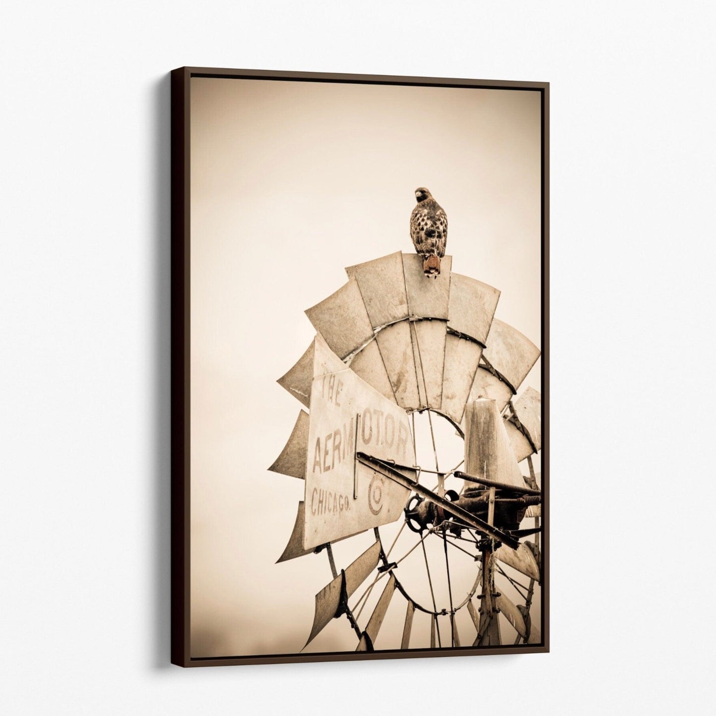 Old Windmill and Red Tailed Hawk Sepia Wall Art Canvas-Walnut Frame / 12 x 18 Inches Wall Art Teri James Photography