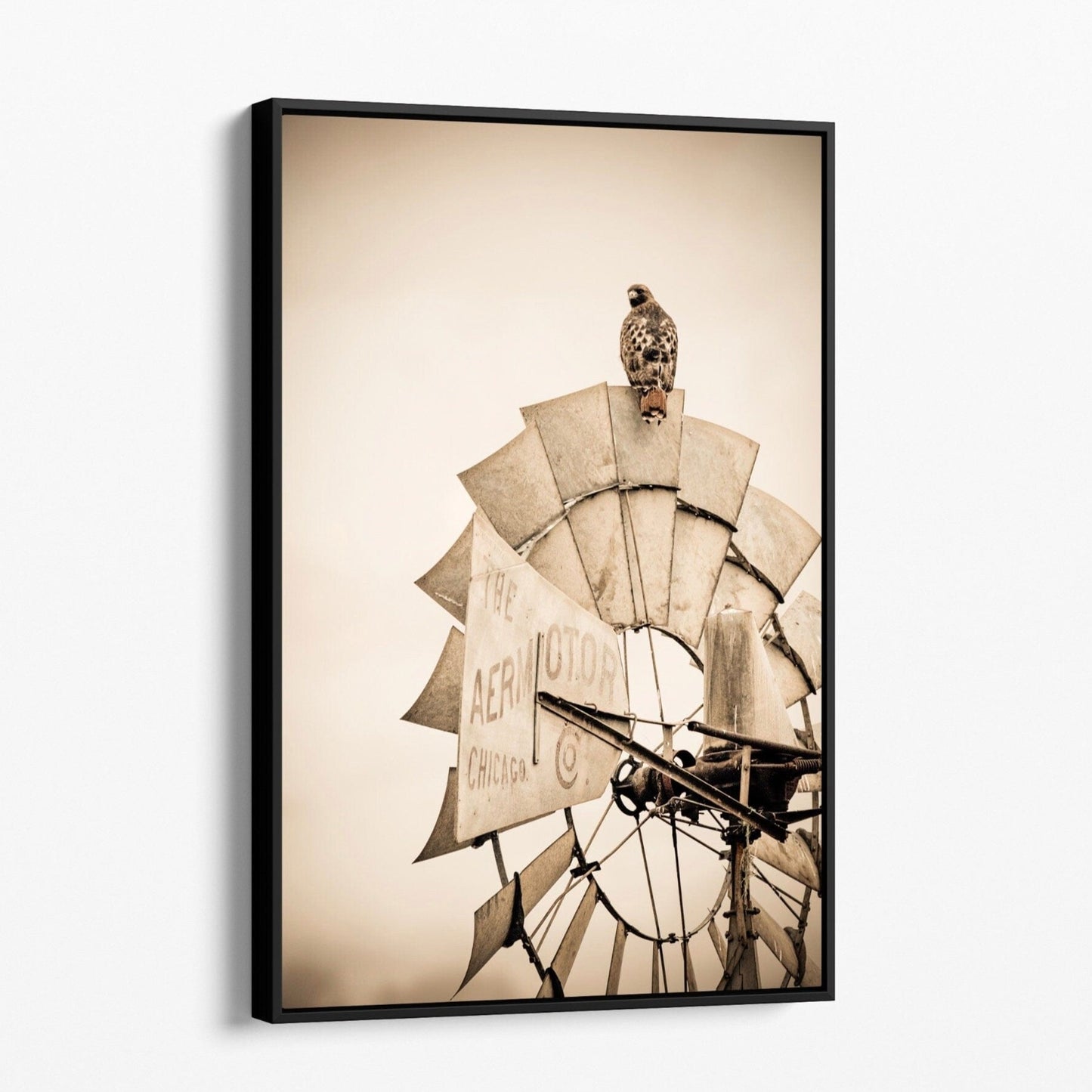 Old Windmill and Red Tailed Hawk Sepia Wall Art Canvas-Black Frame / 12 x 18 Inches Wall Art Teri James Photography
