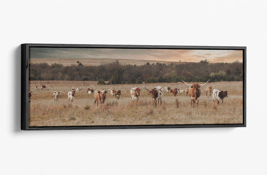 Teri James Photography Wall Art Canvas-Black Frame / 12 x 36 Inches Panoramic Texas Longhorn Cattle Herd