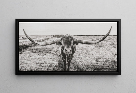 Teri James Photography Wall Art Canvas-Black Frame / 24 x 48 Inches Panoramic Texas Longhorn Wall Canvas in Black & White