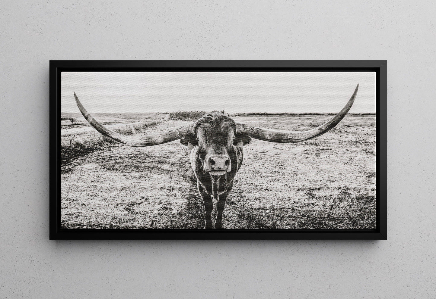 Panoramic Texas Longhorn Wall Canvas in Black & White Canvas-Black Frame / 24 x 48 Inches Wall Art Teri James Photography