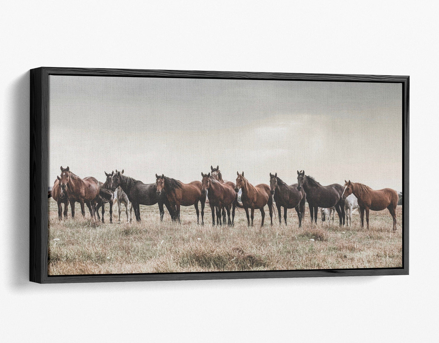 Teri James Photography Wall Art Canvas-Black Frame / 24 x 48 Inches Panoramic Wild Horse Canvas Print