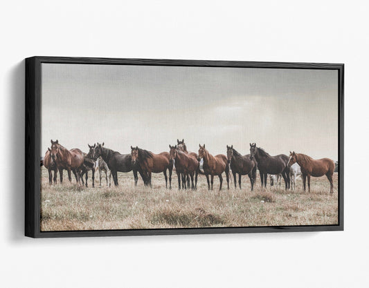 Panoramic Wild Horse Canvas Print Canvas-Black Frame / 24 x 48 Inches Wall Art Teri James Photography