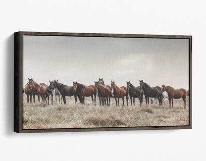 Panoramic Wild Horse Canvas Print Canvas-Walnut Frame / 24 x 48 Inches Wall Art Teri James Photography