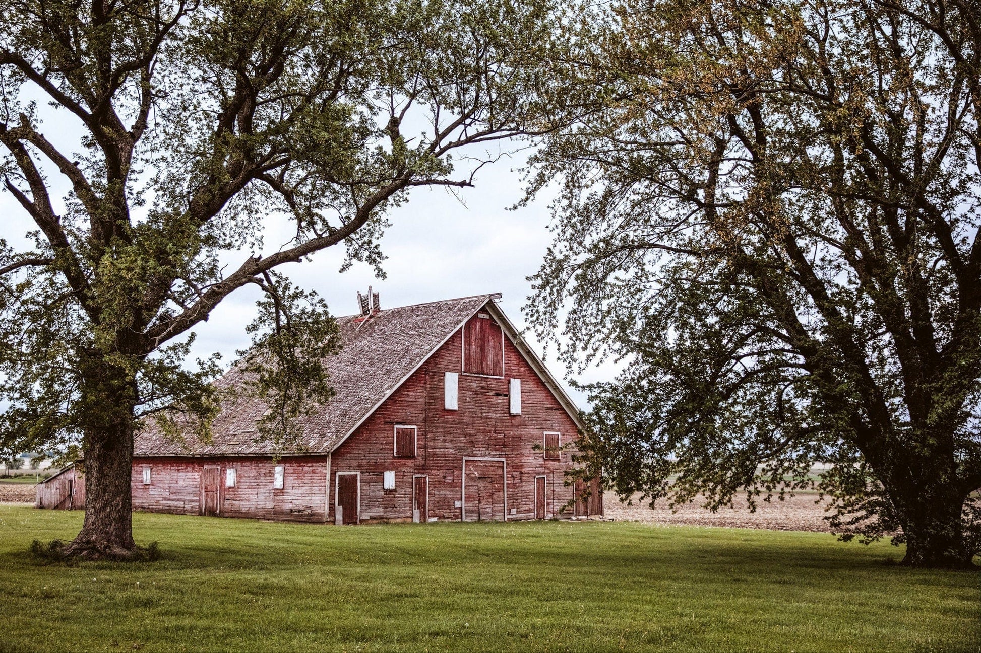 Red Barn in the Trees Paper Photo Print / 12 x 18 Inches Wall Art Teri James Photography