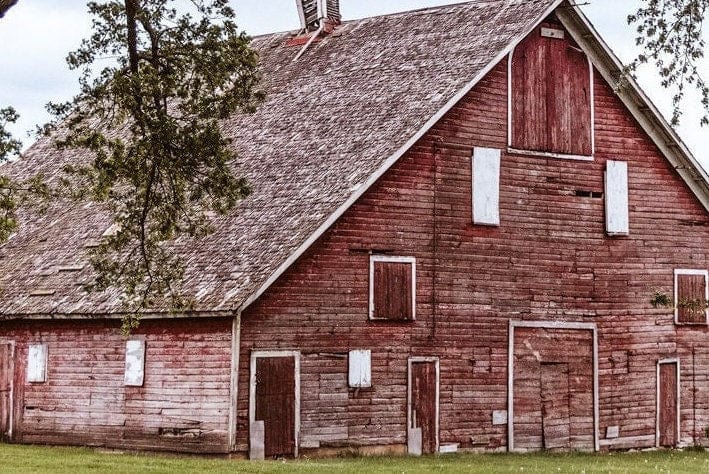 Red Barn in the Trees Wall Art Teri James Photography