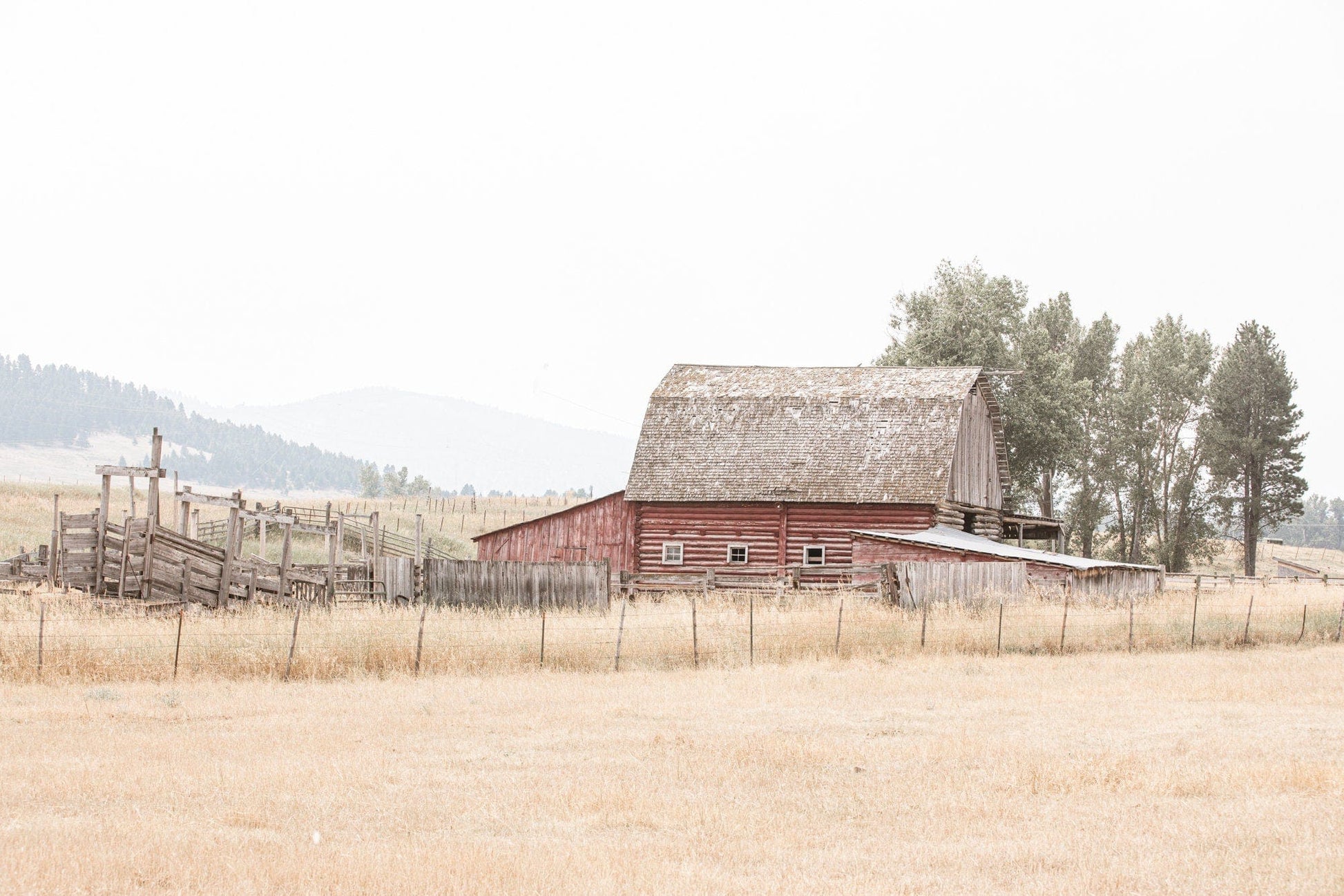 Teri James Photography Wall Art Paper Photo Print / 12 x 18 Inches Rustic Old Red Barn and Corral in Farmhouse Colors