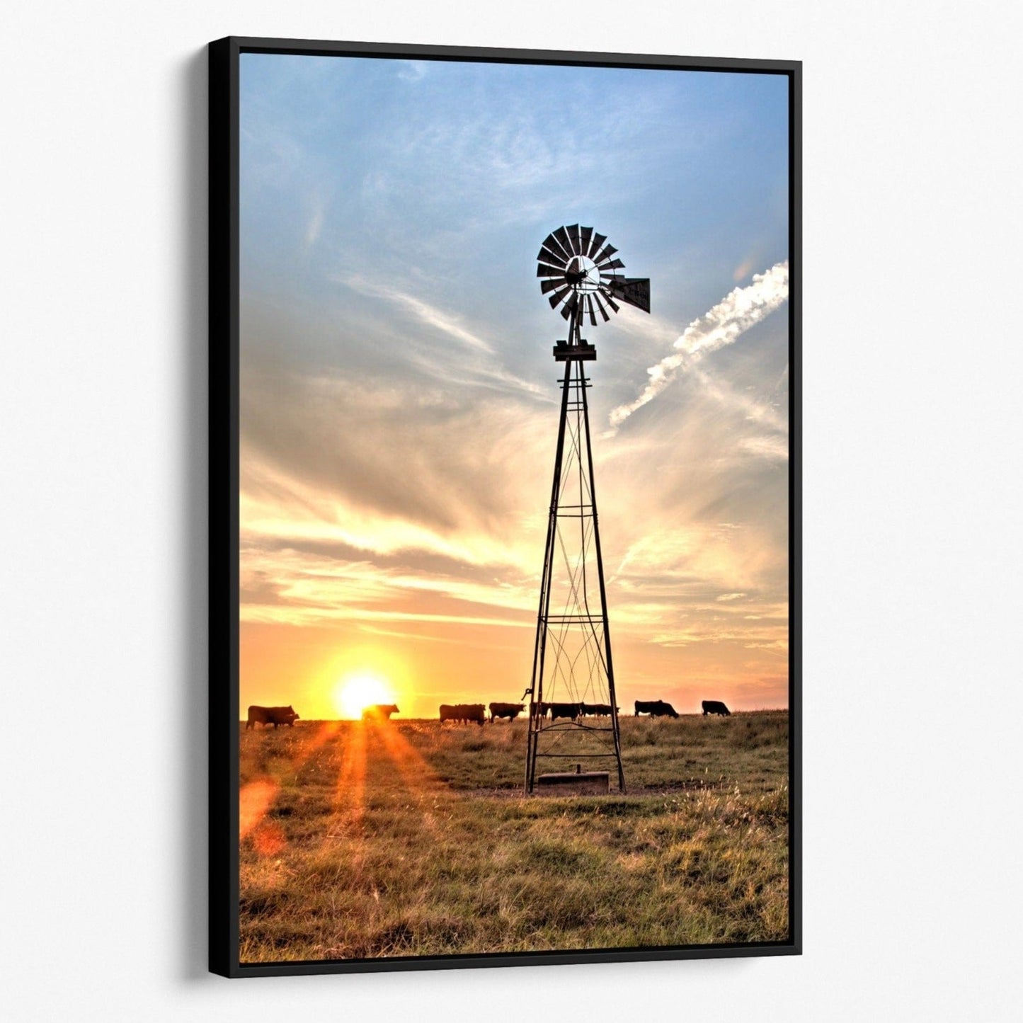 Teri James Photography Wall Art Canvas-Black Frame / 12 x 18 Inches Rustic Windmill and Black Angus Cattle at Sunset