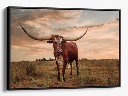 Southwest Style Longhorn Art Canvas-Black Frame / 12 x 18 Inches Wall Art Teri James Photography
