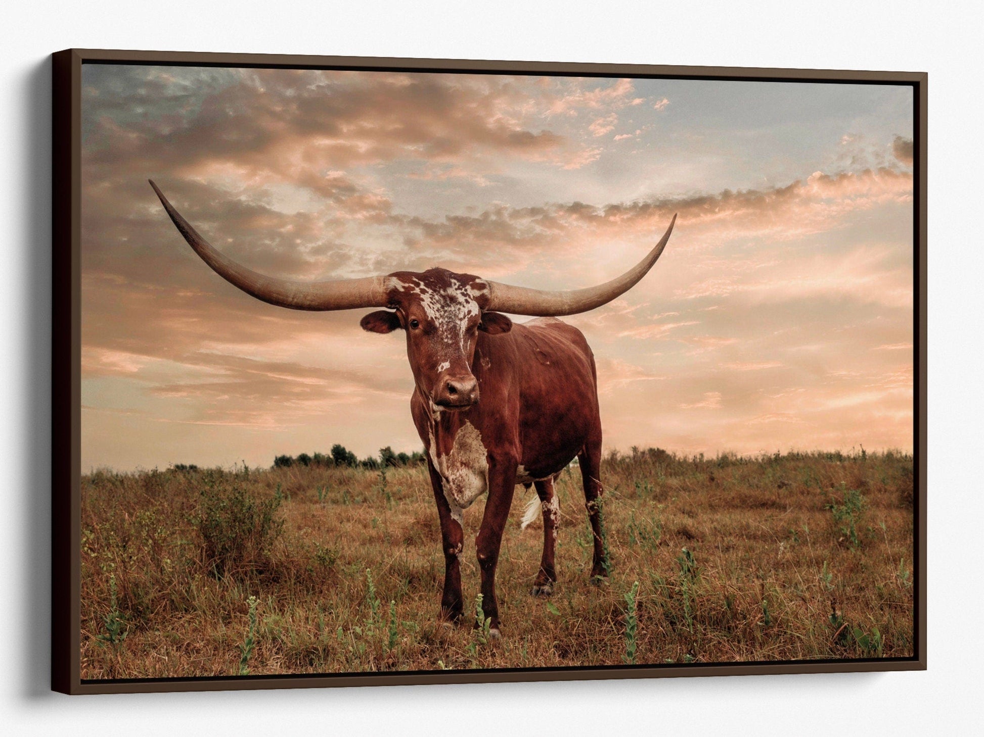 Southwest Style Longhorn Art Canvas-Walnut Frame / 12 x 18 Inches Wall Art Teri James Photography