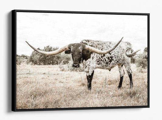 Teri James Photography Wall Art Canvas-Black Frame / 12 x 18 Inches Texas Longhorn Art Canvas - Black & White Steer