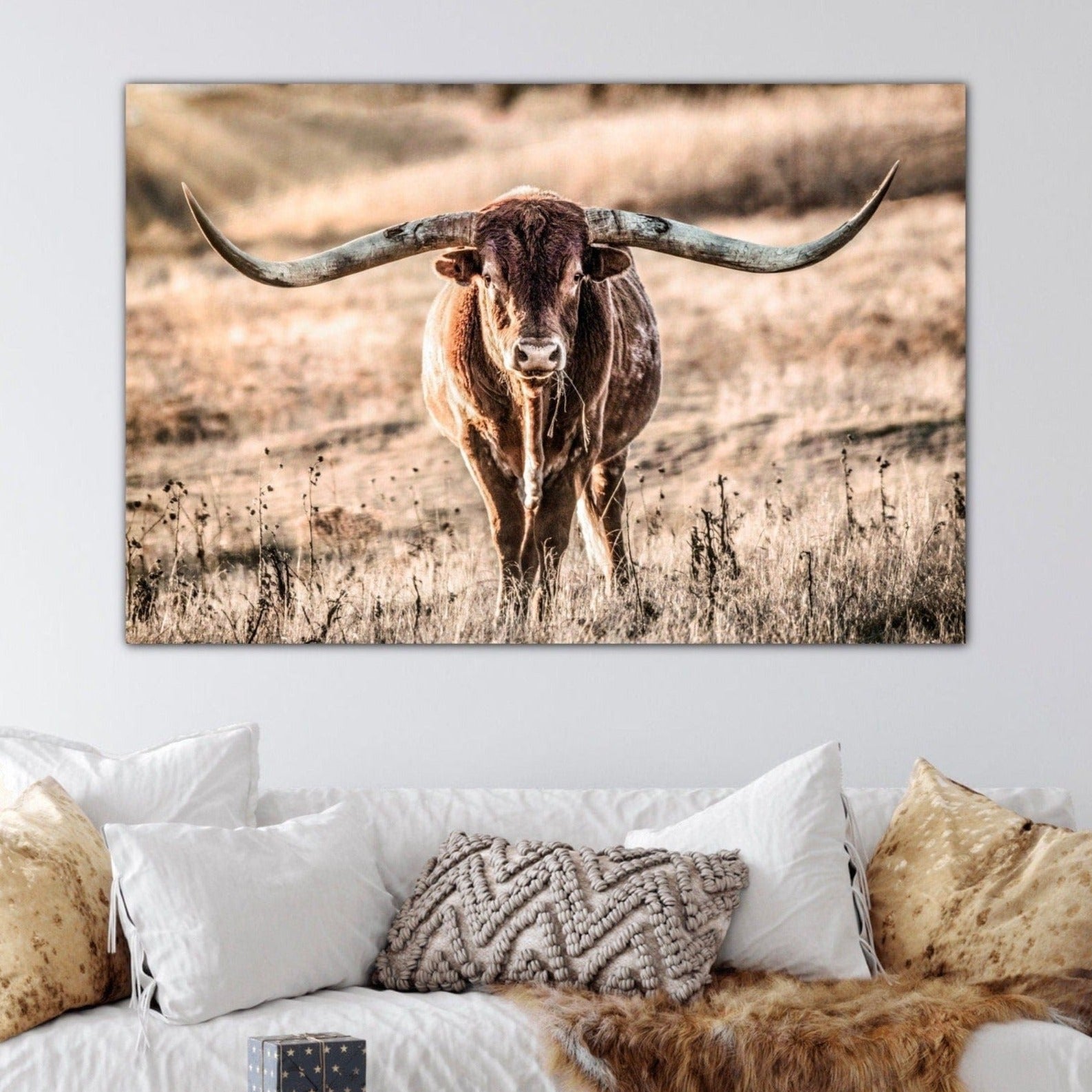 Texas Longhorn Bull and Sunbeams Wall Art Teri James Photography