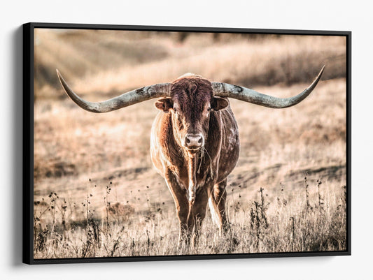 Teri James Photography Wall Art Canvas-Black Frame / 12 x 18 Inches Texas Longhorn Bull and Sunbeams