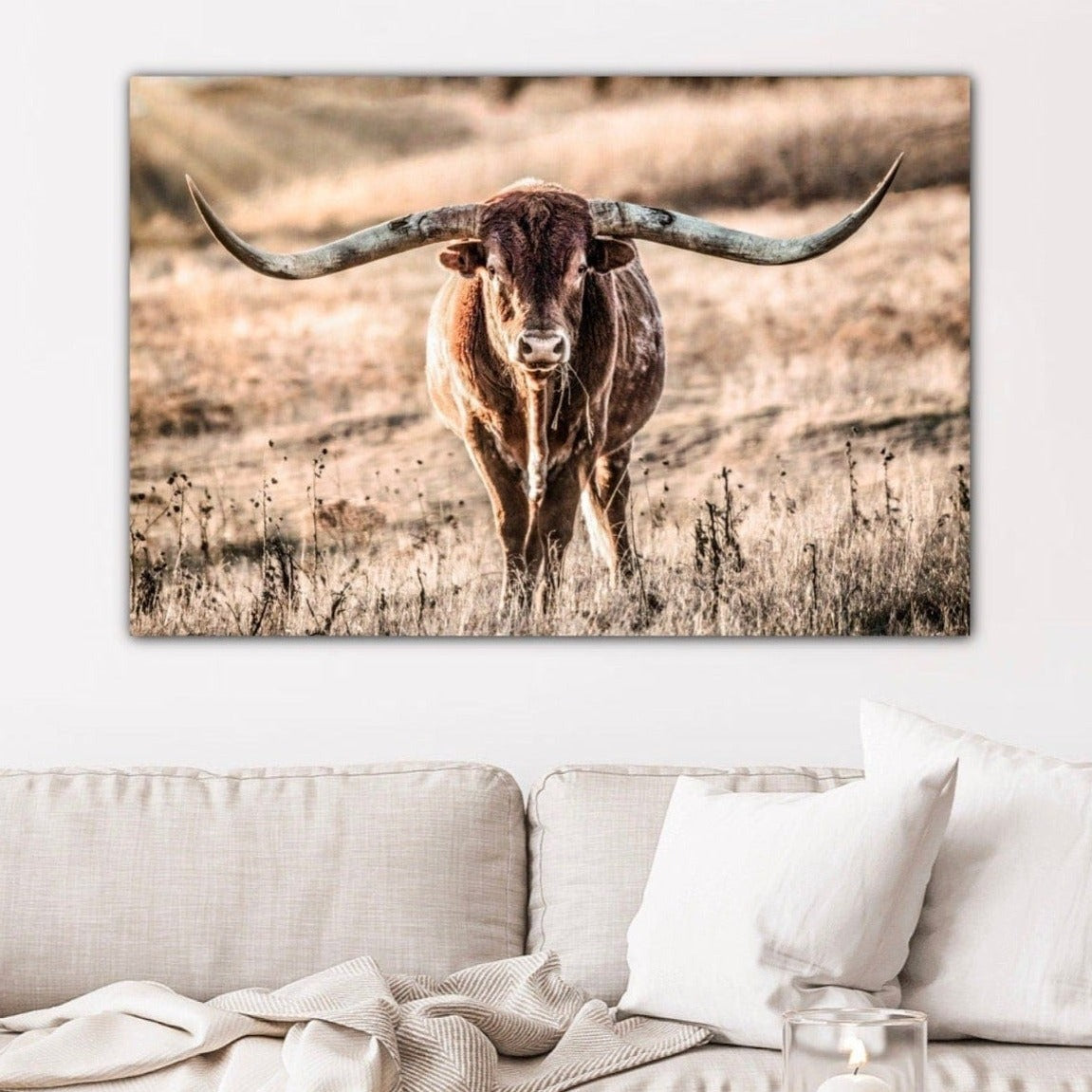 Texas Longhorn Bull and Sunbeams Wall Art Teri James Photography