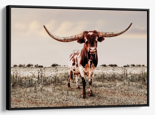 Teri James Photography Wall Art Canvas-Black Frame / 12 x 18 Inches Texas Longhorn Bull Canvas Print - Texas Style Wall Decor