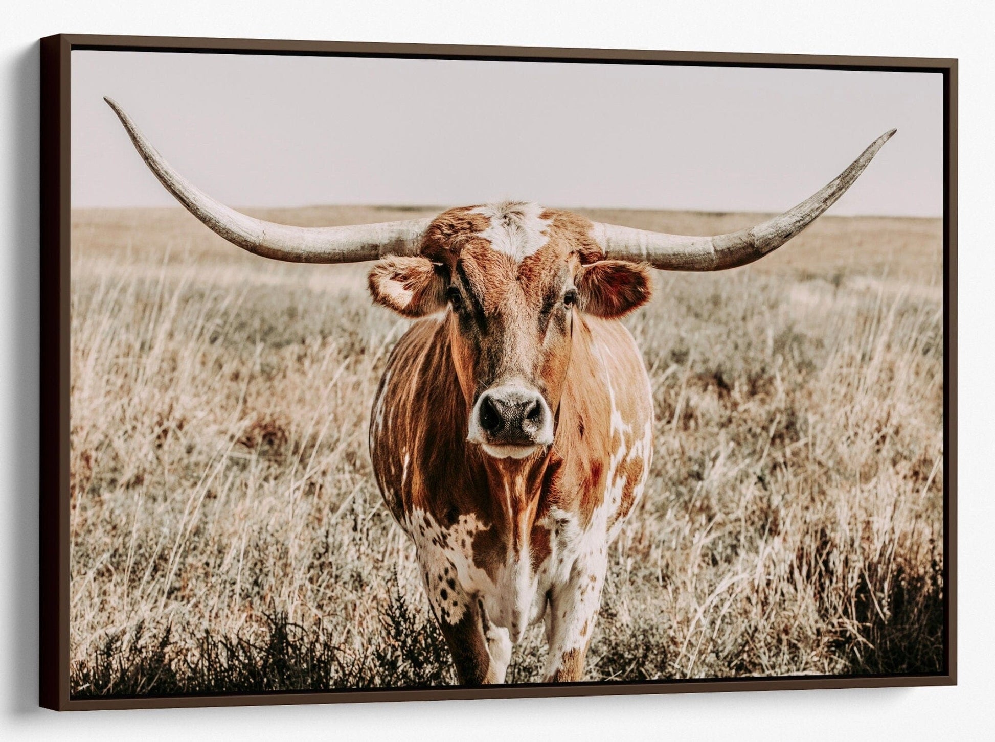 Texas Longhorn Canvas Wall Art Canvas-Walnut Frame / 12 x 18 Inches Wall Art Teri James Photography