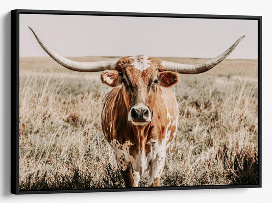 Teri James Photography Wall Art Canvas-Black Frame / 12 x 18 Inches Texas Longhorn Canvas Wall Art