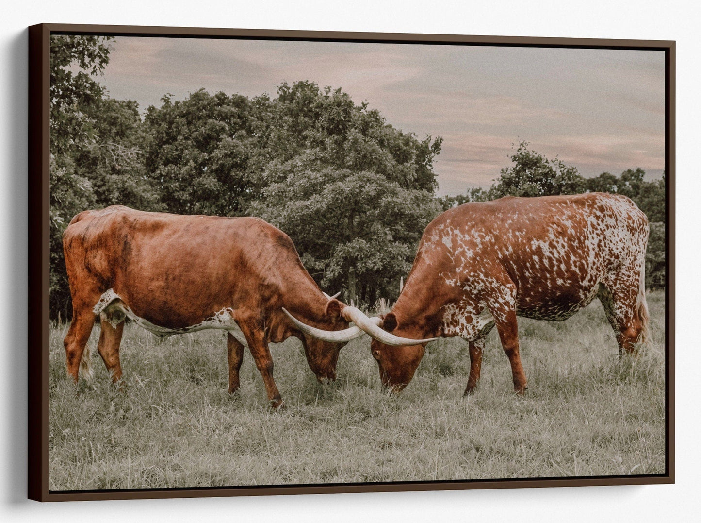 Texas Longhorn Cattle Wall Art in Muted Colors Canvas-Walnut Frame / 12 x 18 Inches Wall Art Teri James Photography