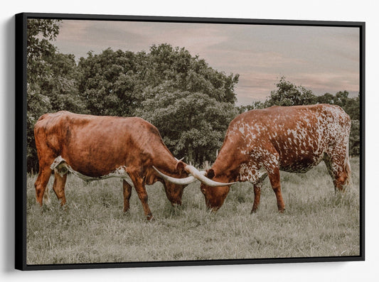 Teri James Photography Wall Art Canvas-Black Frame / 12 x 18 Inches Texas Longhorn Cattle - Two Longhorn Cows in Muted Colors