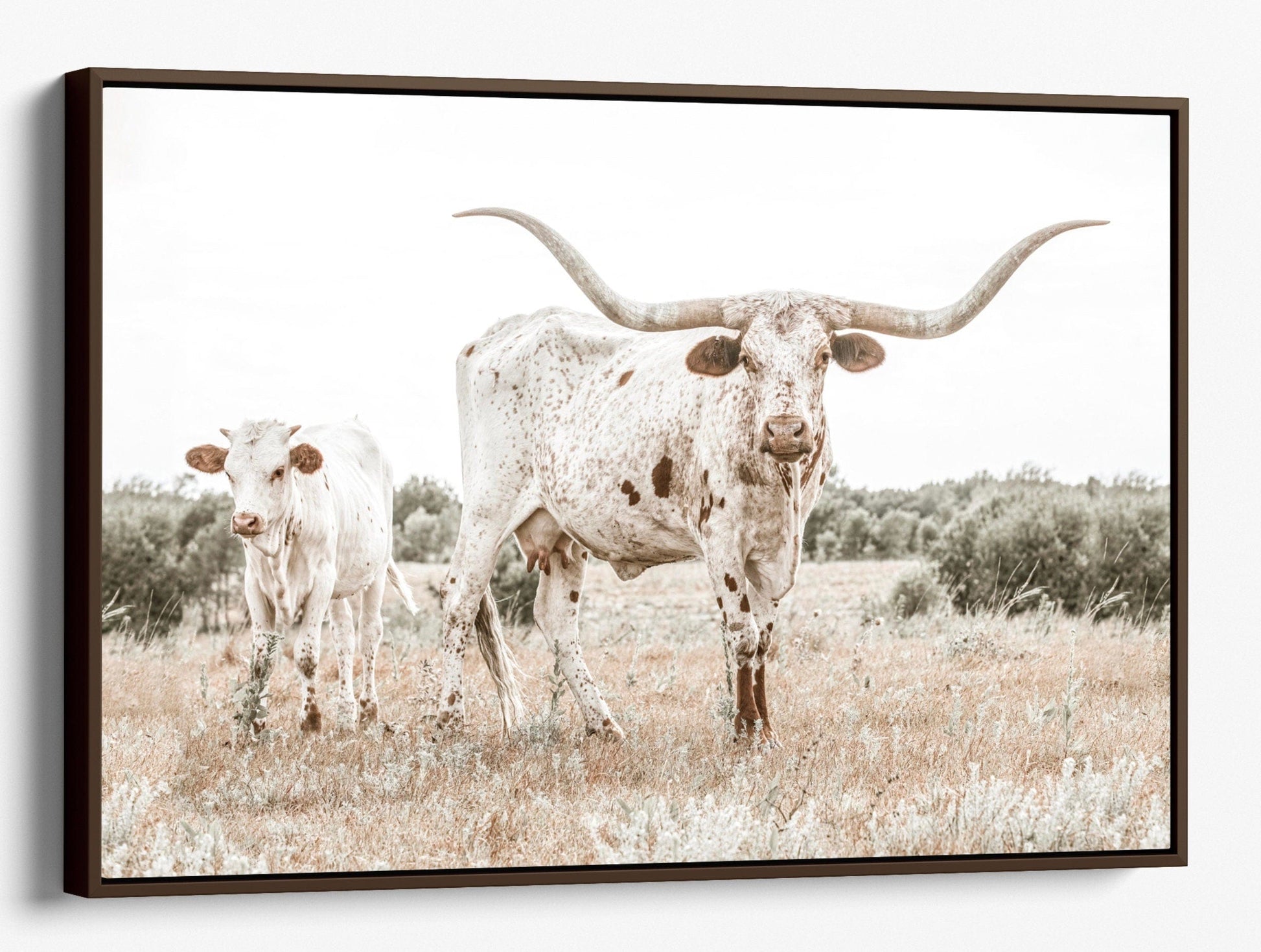 Teri James Photography Wall Art Canvas-Walnut Frame / 12 x 18 Inches Texas Longhorn Cow & Calf Wall Art
