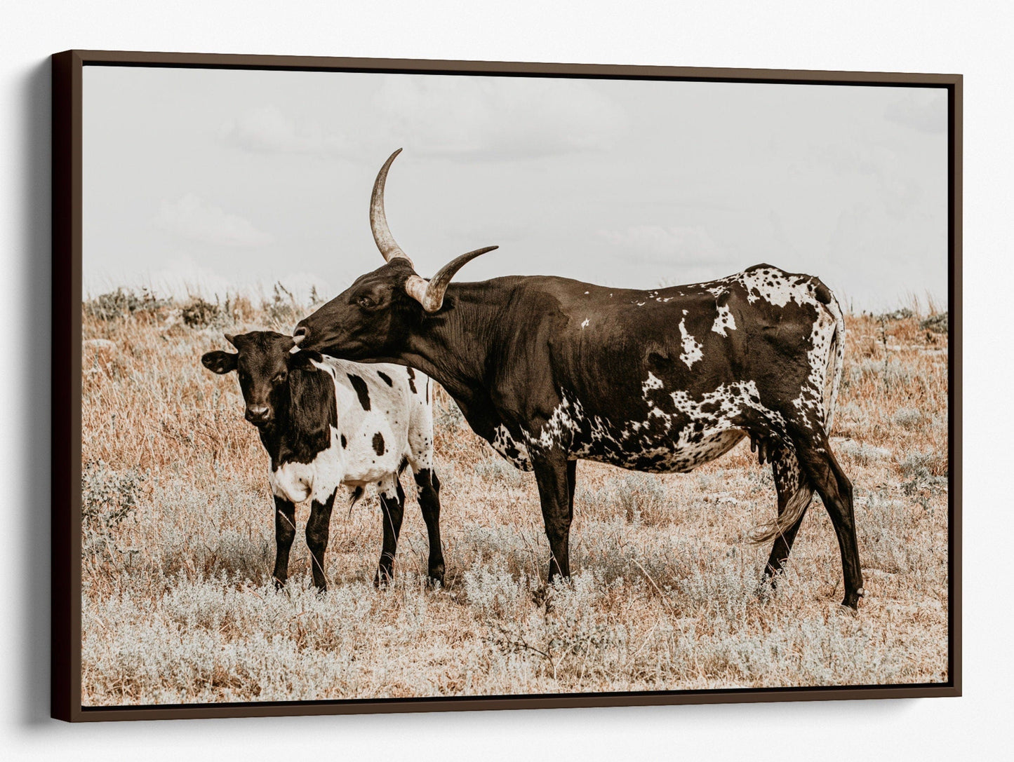 Texas Longhorn Cow & Calf Western Nursery Wall Art Canvas-Walnut Frame / 12 x 18 Inches Wall Art Teri James Photography