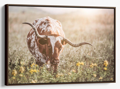 Texas Longhorn Cow in Flowers Canvas-Walnut Frame / 12 x 18 Inches Wall Art Teri James Photography