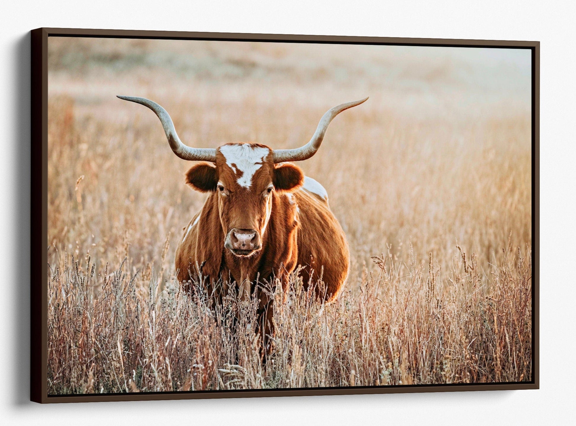 Teri James Photography Wall Art Canvas-Walnut Frame / 12 x 18 Inches Texas Longhorn Cow in Tall Grass Canvas Art
