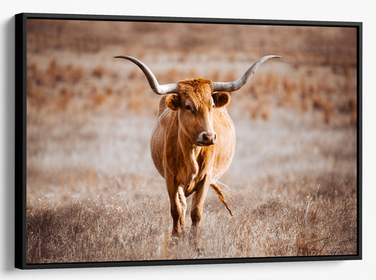 Teri James Photography Wall Art Canvas-Black Frame / 12 x 18 Inches Texas Longhorn Cow Wall Canvas - Red Longhorn