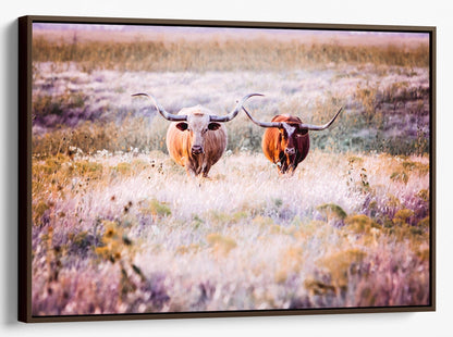 Texas Longhorn Cows in Colorful Pasture Grass Canvas-Walnut Frame / 12 x 18 Inches Wall Art Teri James Photography