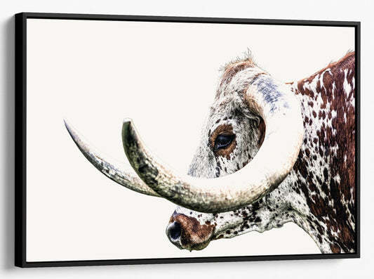 Teri James Photography Wall Art Canvas-Black Frame / 12 x 18 Inches Texas Longhorn Extreme Closeup Canvas