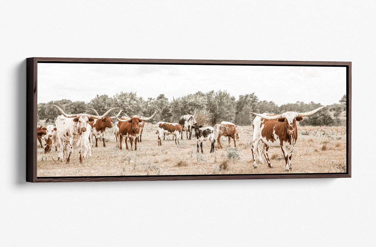 Texas Longhorn Panoramic Canvas Canvas-Walnut Frame / 12 x 36 Inches Wall Art Teri James Photography