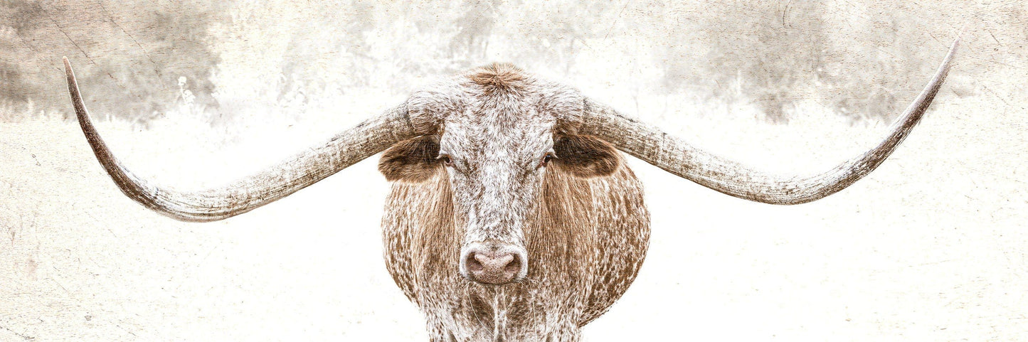 Texas Longhorn Sepia Panoramic Canvas Paper Photo Print / 12 x 36 Inches Wall Art Teri James Photography